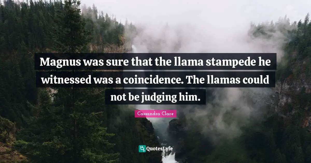 Magnus was sure that the llama stampede he witnessed was a coincidence. The llamas could not be judging him.