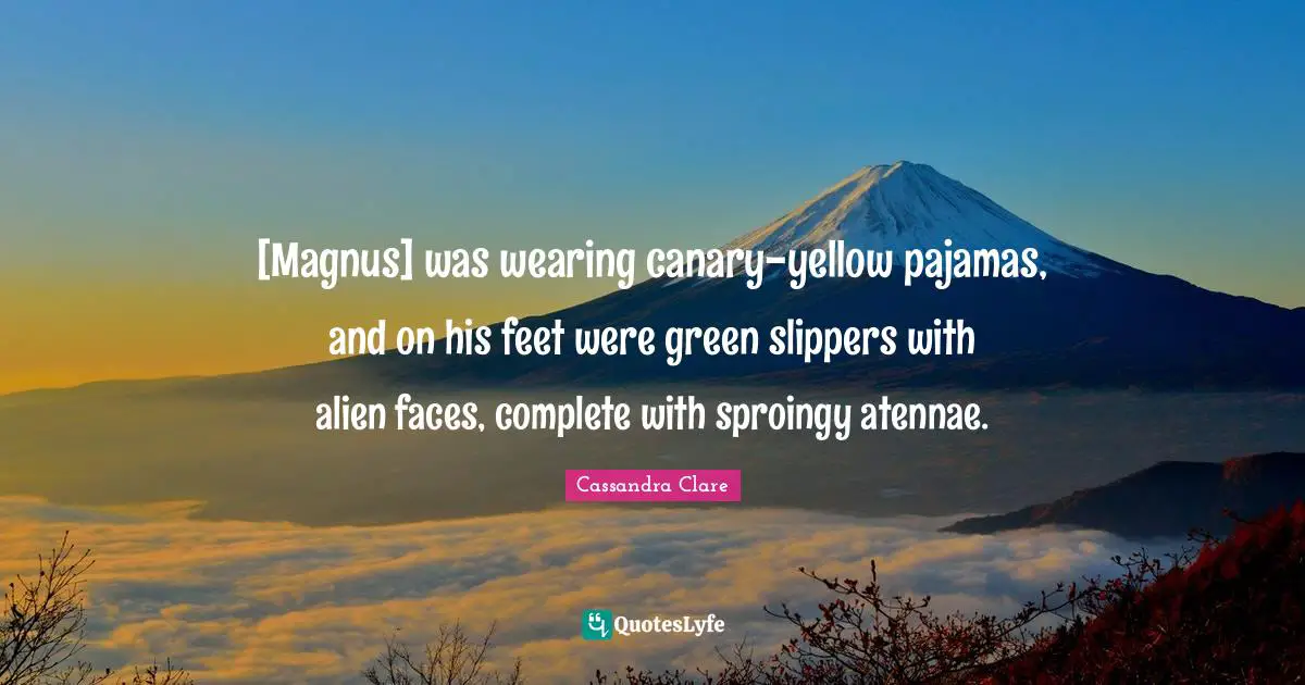 [Magnus] was wearing canary-yellow pajamas, and on his feet were green slippers with alien faces, complete with sproingy atennae.