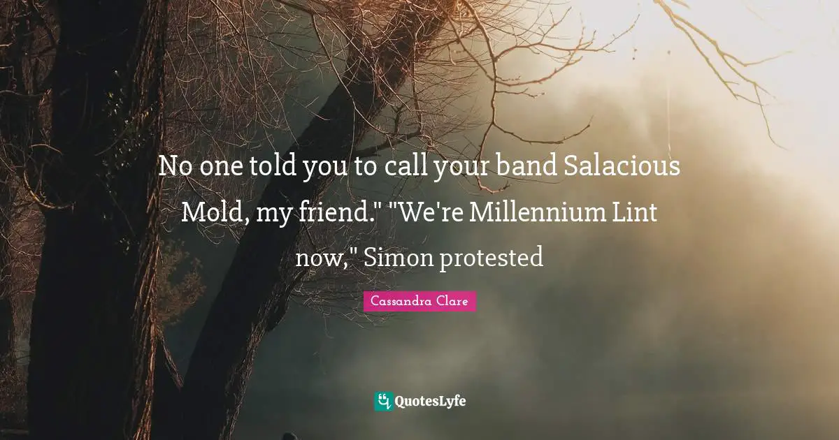 No one told you to call your band Salacious Mold, my friend." "We're Millennium Lint now," Simon protested