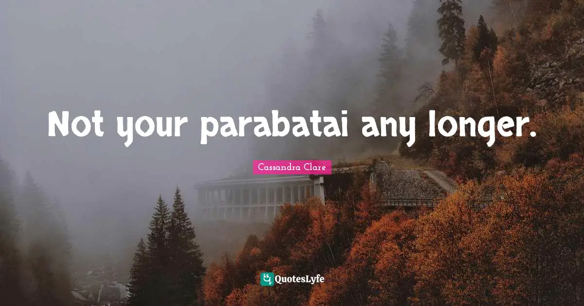 Not your parabatai any longer.