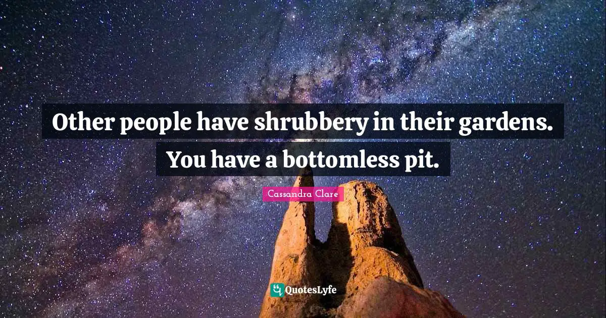 Other people have shrubbery in their gardens. You have a bottomless pit.