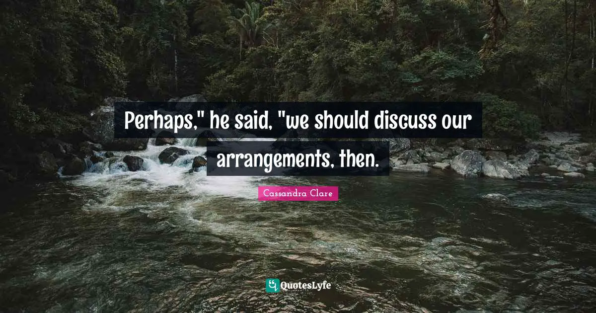 Perhaps," he said, "we should discuss our arrangements, then.