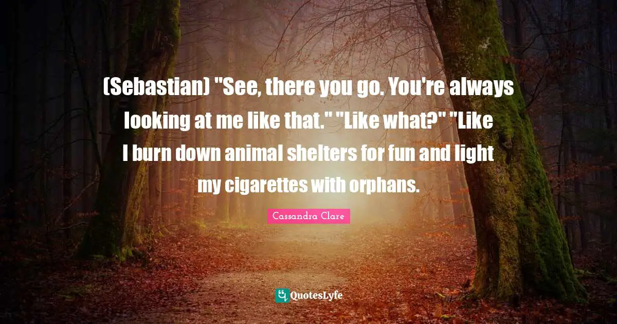 (Sebastian) "See, there you go. You're always looking at me like that." "Like what?" "Like I burn down animal shelters for fun and light my cigarettes with orphans.