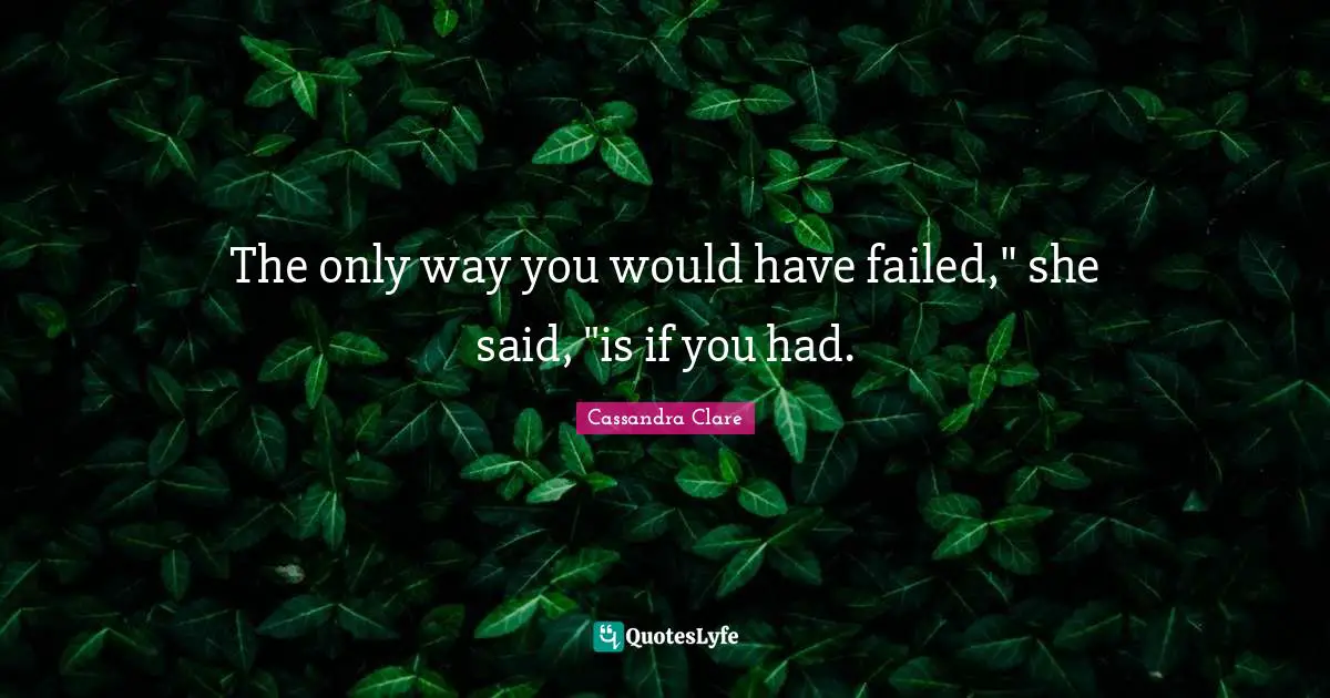 The only way you would have failed," she said, "is if you had.