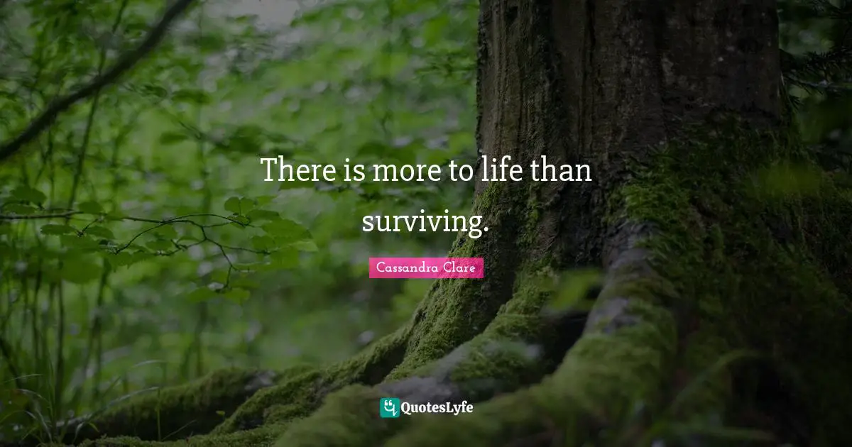 There is more to life than surviving.