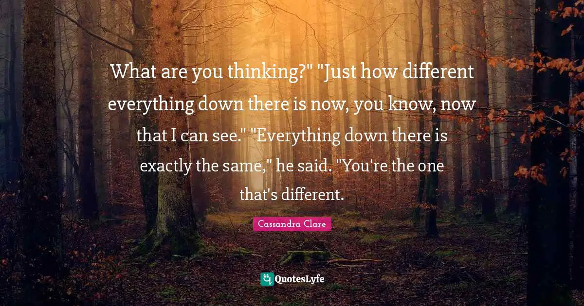 What are you thinking?" "Just how different everything down there is now, you know, now that I can see." "Everything down there is exactly the same," he said. "You're the one that's different.