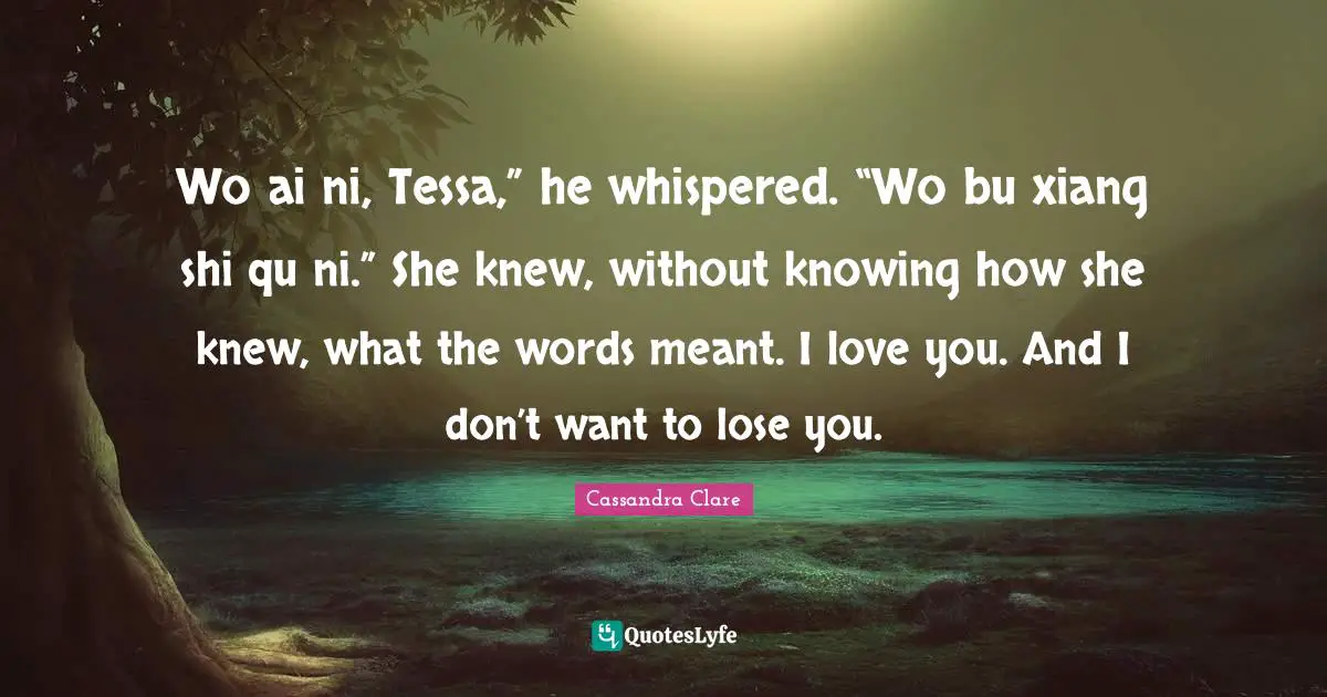 Wo ai ni, Tessa,” he whispered. “Wo bu xiang shi qu ni.” She knew, without knowing how she knew, what the words meant. I love you. And I don’t want to lose you.