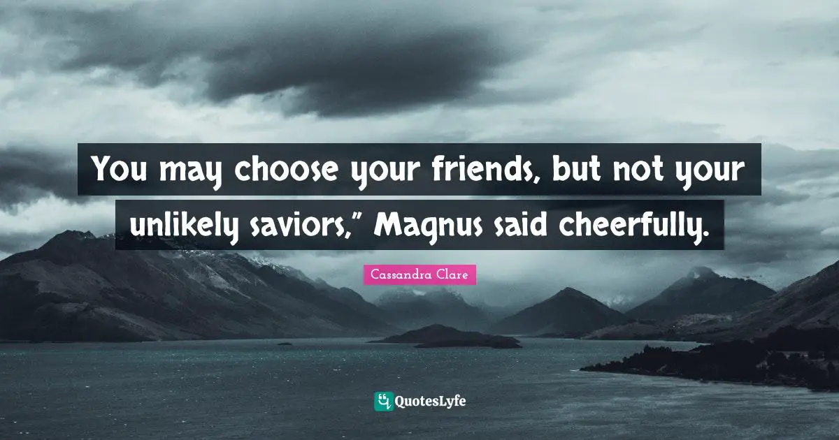You may choose your friends, but not your unlikely saviors,” Magnus said cheerfully.