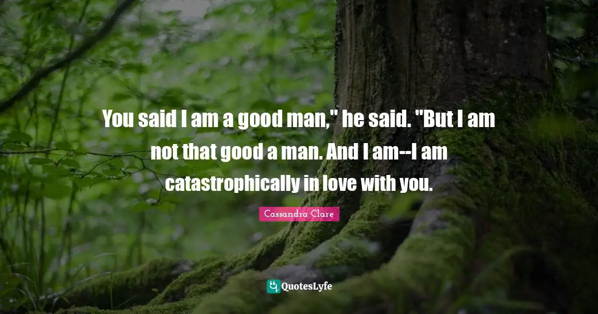 You said I am a good man," he said. "But I am not that good a man. And I am--I am catastrophically in love with you.