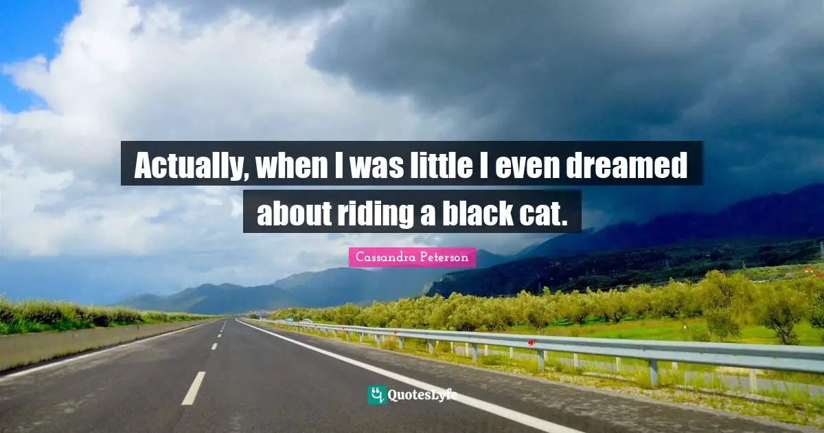Actually, when I was little I even dreamed about riding a black cat.