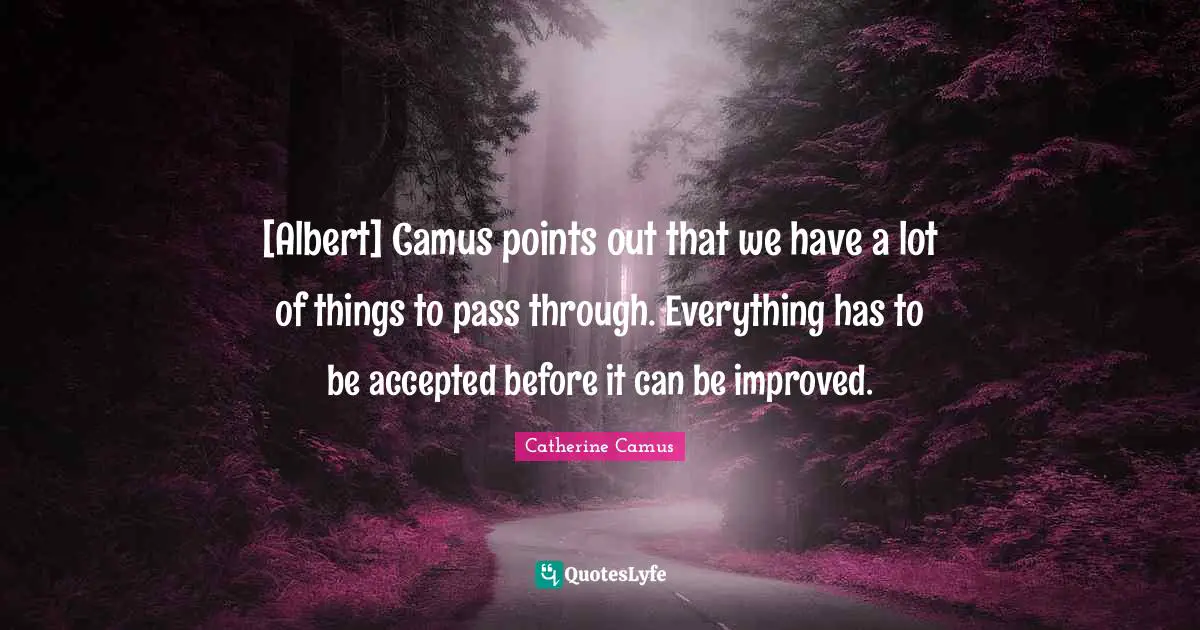 [Albert] Camus points out that we have a lot of things to pass through. Everything has to be accepted before it can be improved.