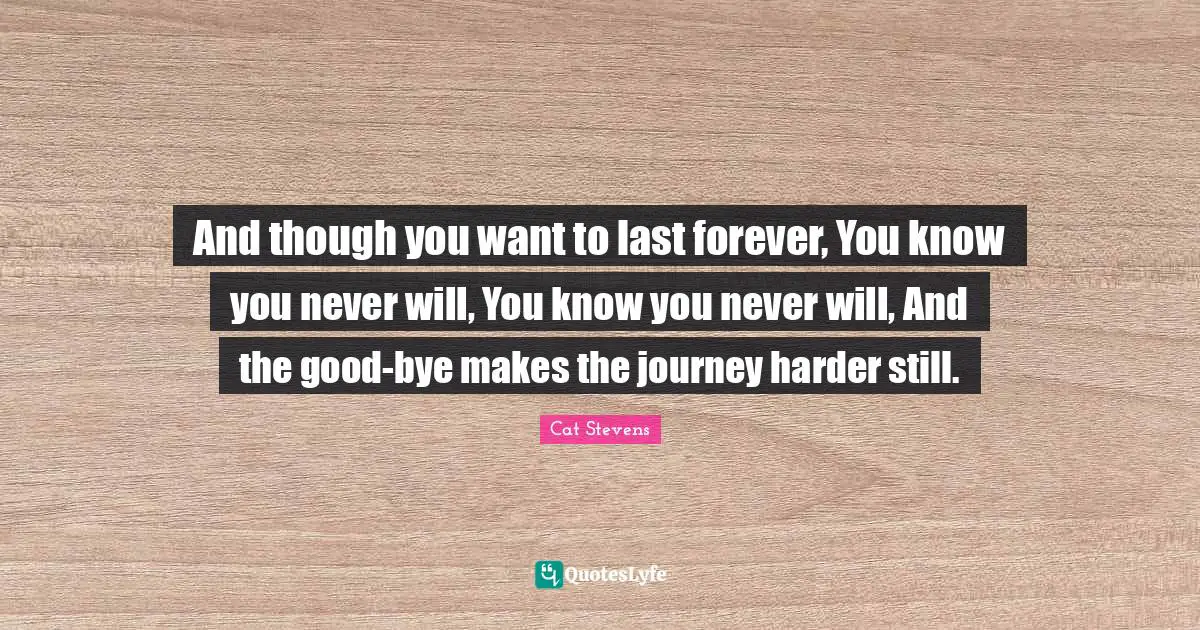 Bye Quotes: "And though you want to last forever, You know you never will, You know you never will, And the good-bye makes the journey harder still."