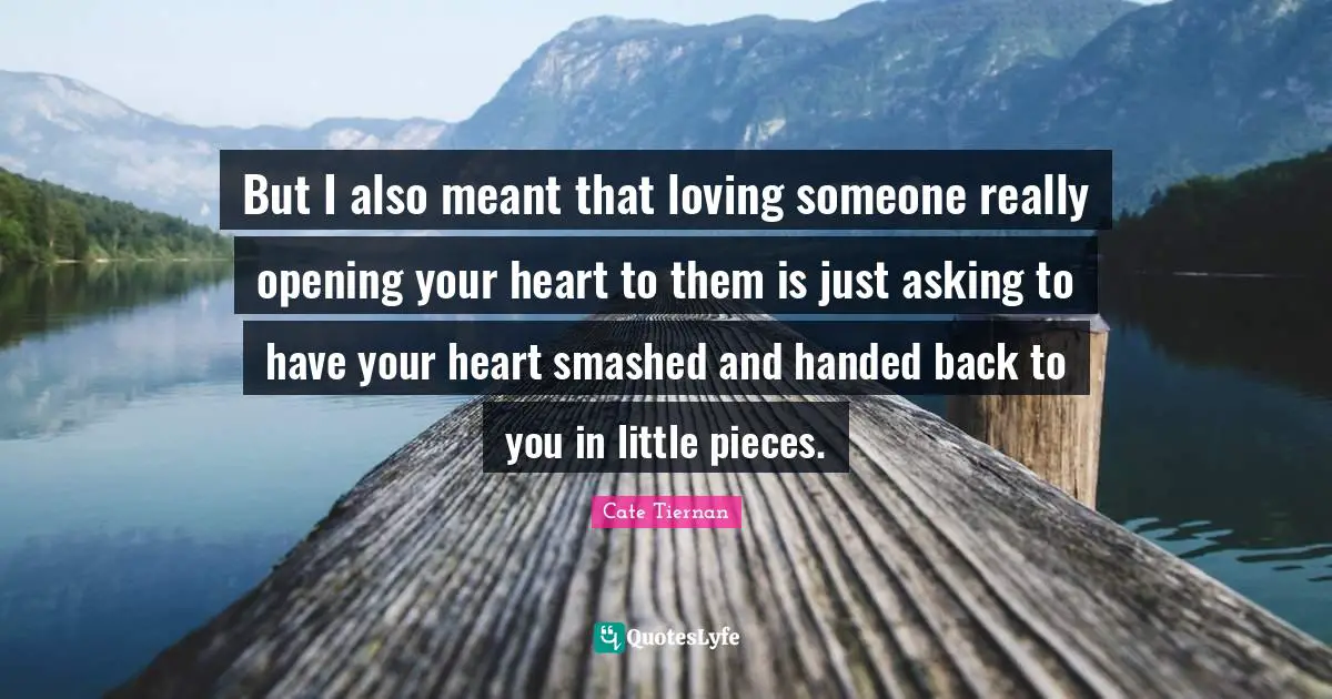 But I also meant that loving someone really opening your heart to them is just asking to have your heart smashed and handed back to you in little pieces.