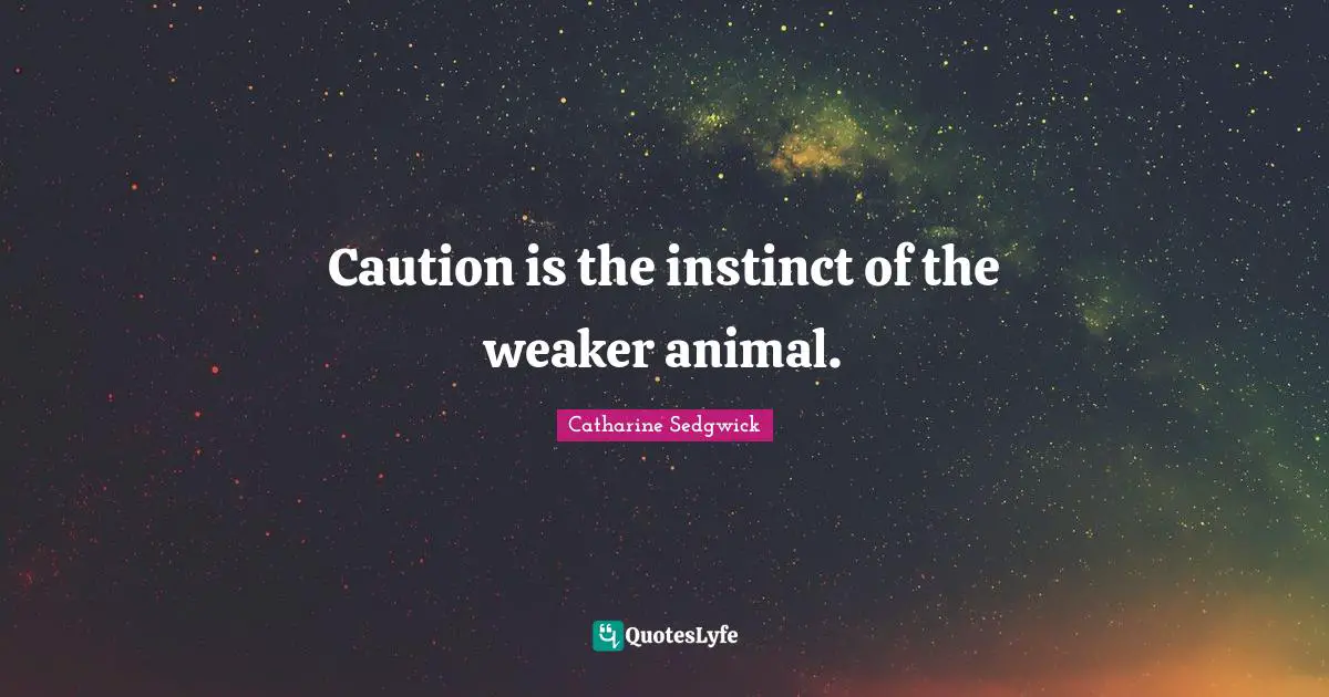 Caution is the instinct of the weaker animal.
