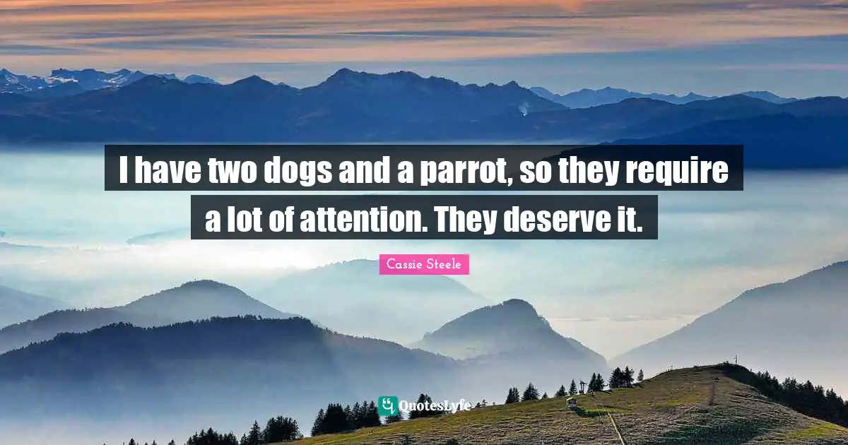 I have two dogs and a parrot, so they require a lot of attention. They deserve it.