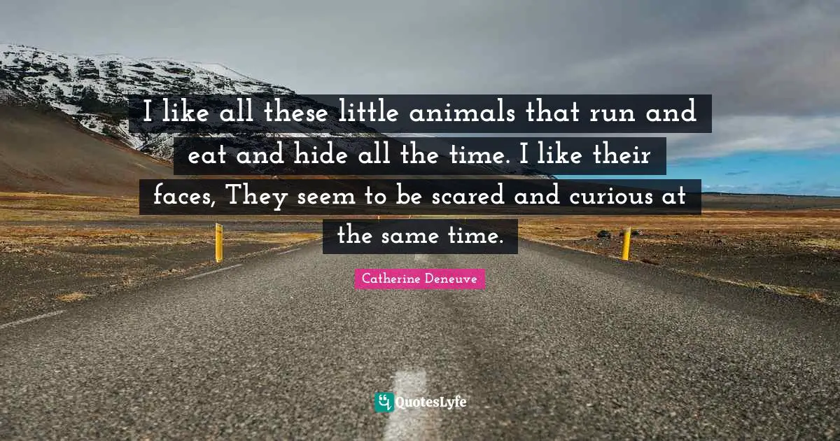 I like all these little animals that run and eat and hide all the time. I like their faces, They seem to be scared and curious at the same time.