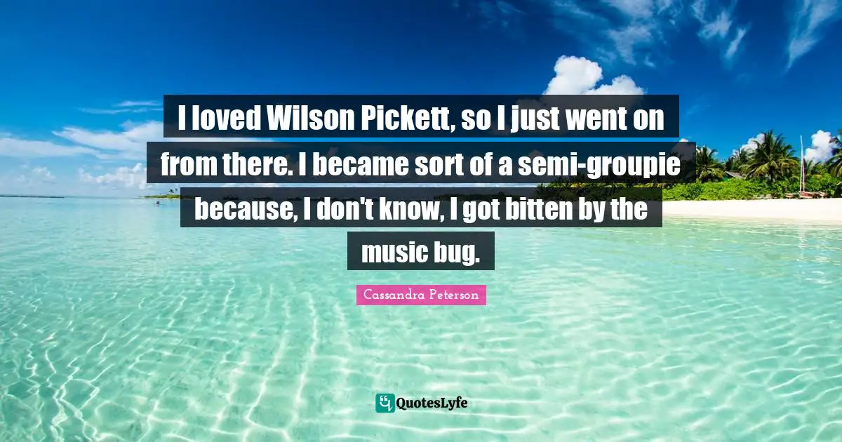 I loved Wilson Pickett, so I just went on from there. I became sort of a semi-groupie because, I don't know, I got bitten by the music bug.