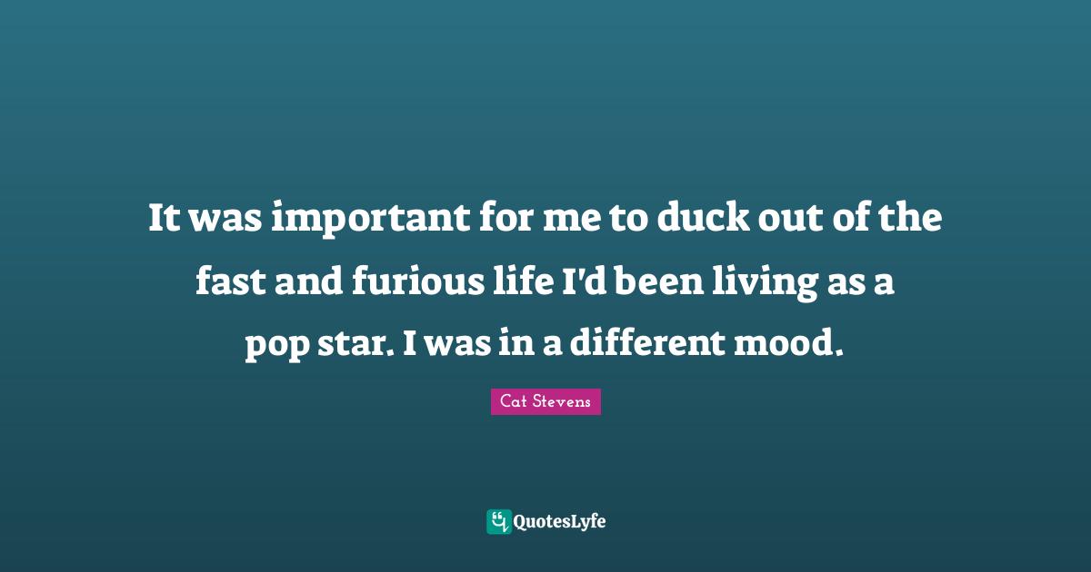 It was important for me to duck out of the fast and furious life I'd been living as a pop star. I was in a different mood.