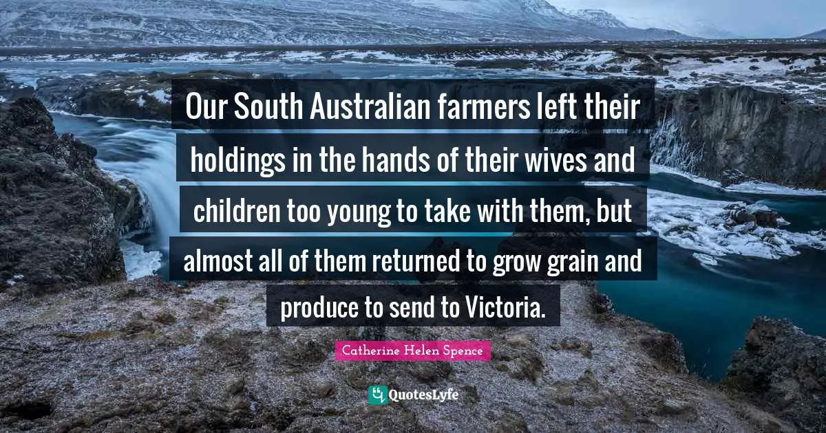 Our South Australian farmers left their holdings in the hands of their wives and children too young to take with them, but almost all of them returned to grow grain and produce to send to Victoria.