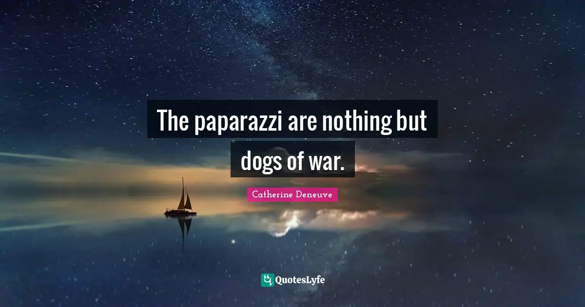 The paparazzi are nothing but dogs of war.