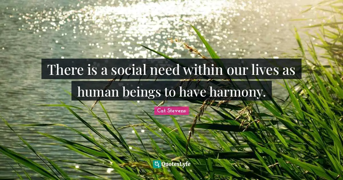 There is a social need within our lives as human beings to have harmony.