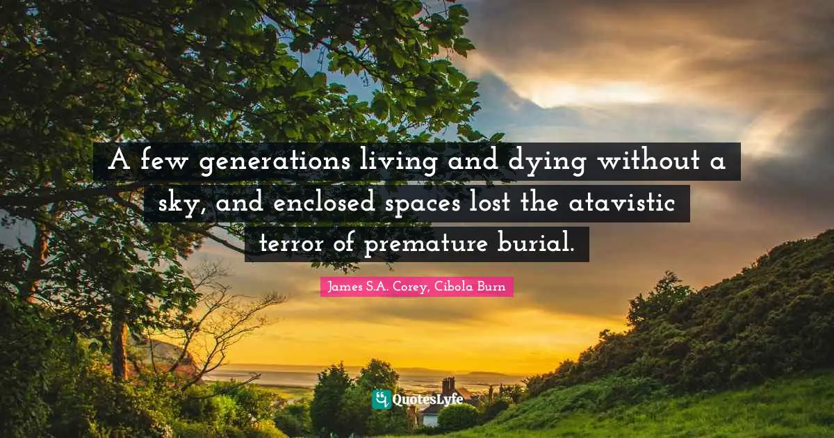 A few generations living and dying without a sky, and enclosed spaces lost the atavistic terror of premature burial.