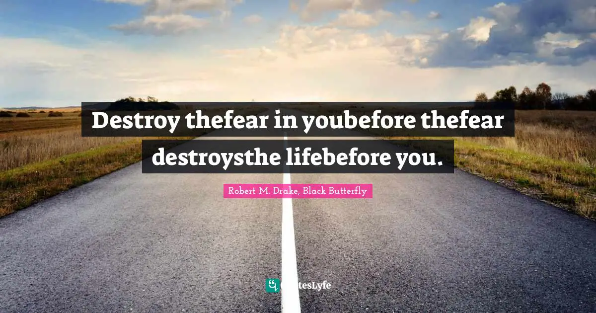 Robert M. Drake Quotes: "Destroy thefear in youbefore thefear destroysthe lifebefore you."