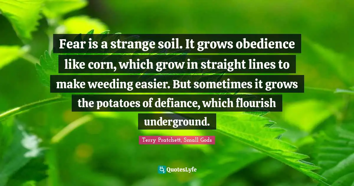 Fear is a strange soil. It grows obedience like corn, which grow in straight lines to make weeding easier. But sometimes it grows the potatoes of defiance, which flourish underground.
