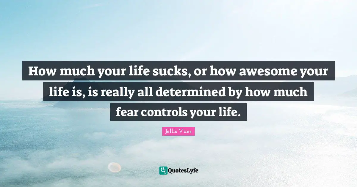 Jellis Vaes Quotes: "How much your life sucks, or how awesome your life is, is really all determined by how much fear controls your life."