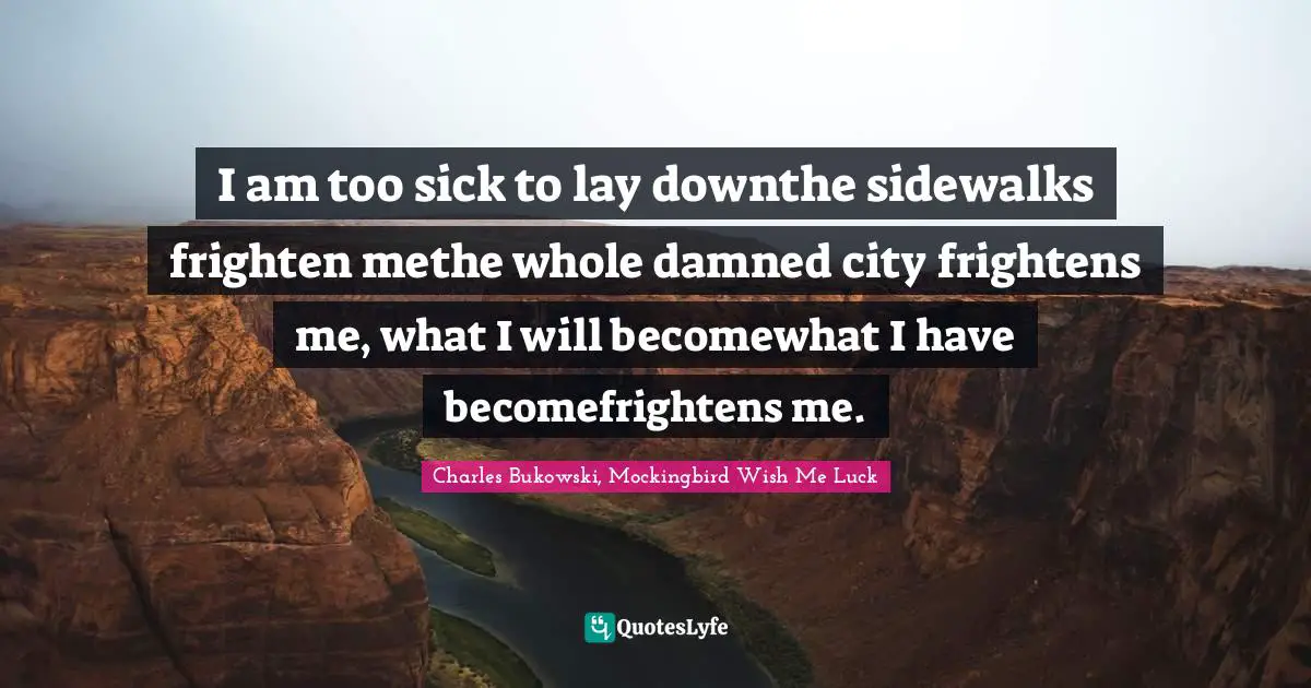 I am too sick to lay downthe sidewalks frighten methe whole damned city frightens me, what I will becomewhat I have becomefrightens me.