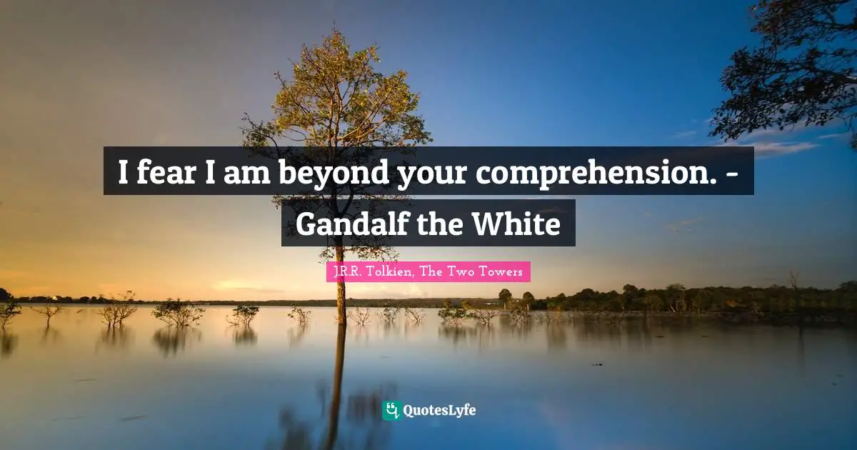 I fear I am beyond your comprehension. - Gandalf the White