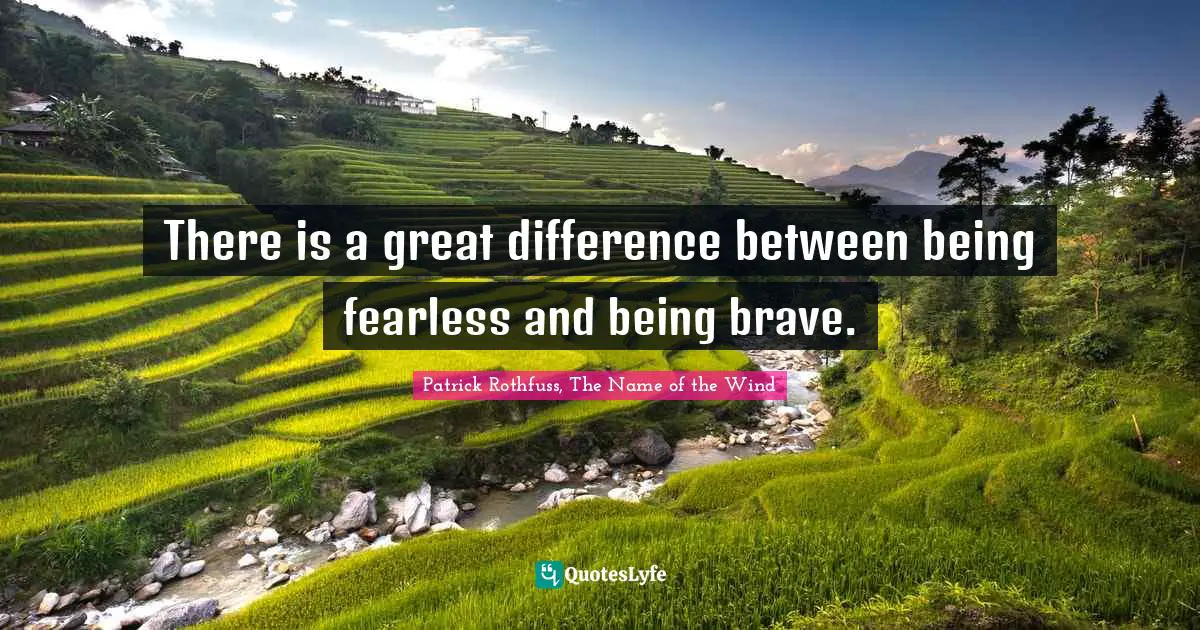 There is a great difference between being fearless and being brave.