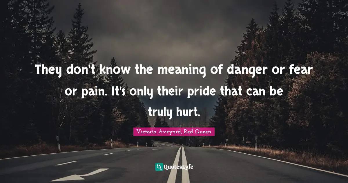 They don't know the meaning of danger or fear or pain. It's only their pride that can be truly hurt.