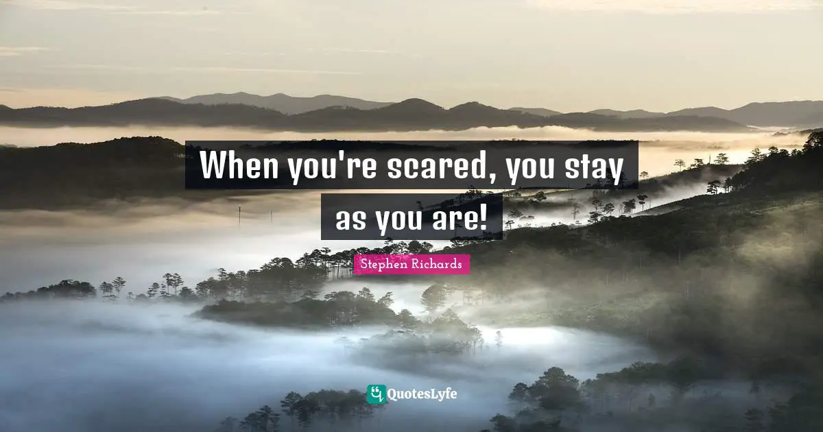 Panicked Quotes: "When you're scared, you stay as you are!"