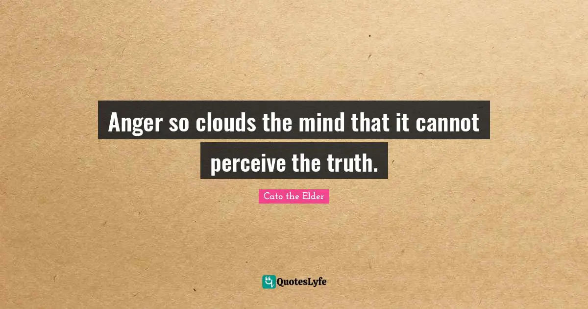 Perceive Quotes: "Anger so clouds the mind that it cannot perceive the truth."