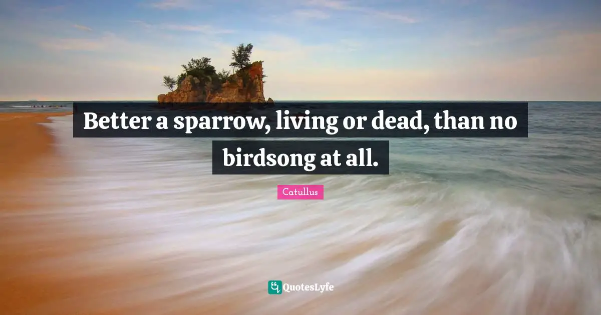 Better a sparrow, living or dead, than no birdsong at all.