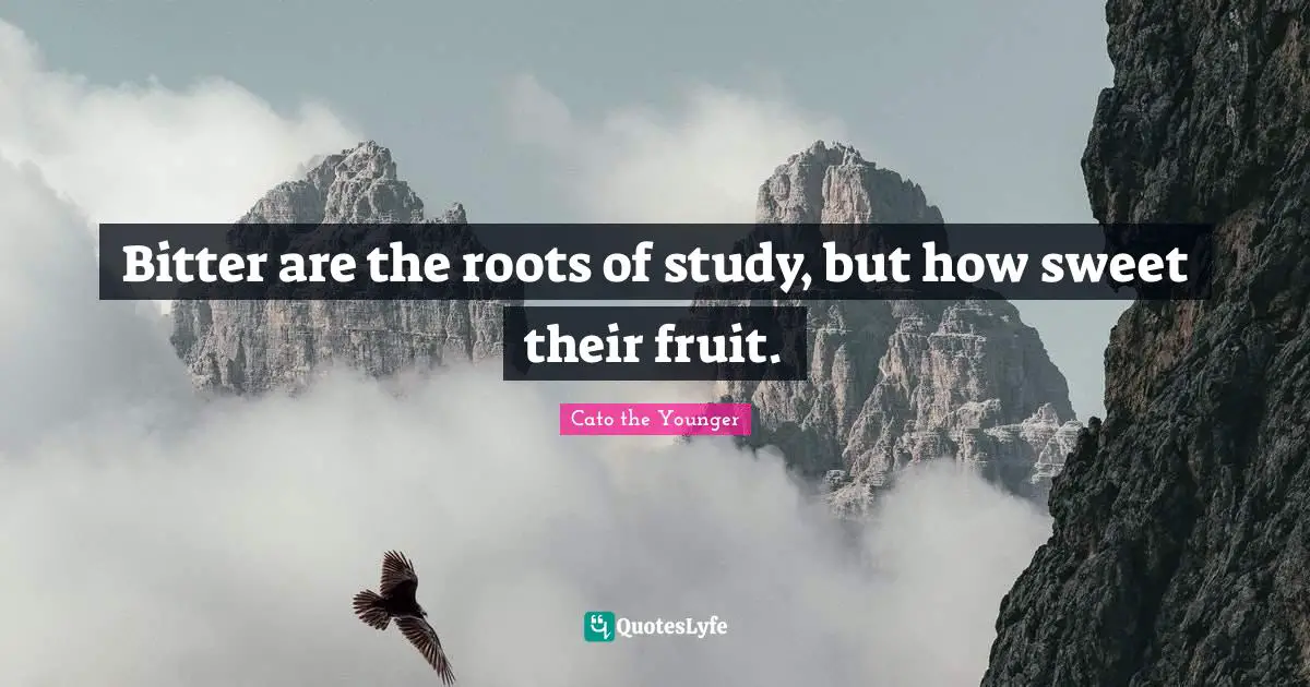 Fruit Quotes: "Bitter are the roots of study, but how sweet their fruit."
