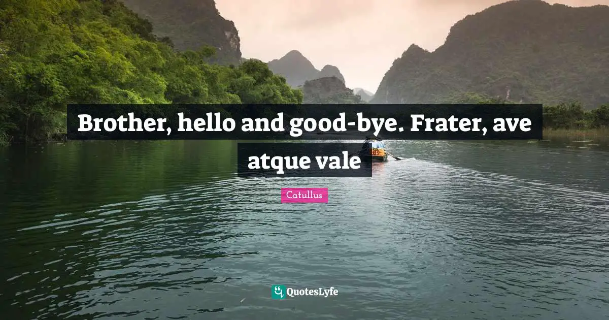 Bye Quotes: "Brother, hello and good-bye. Frater, ave atque vale"