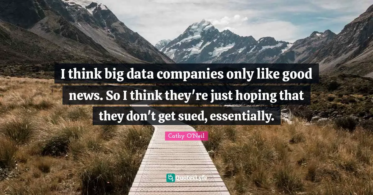 Cathy O'Neil Quotes: "I think big data companies only like good news. So I think they're just hoping that they don't get sued, essentially."