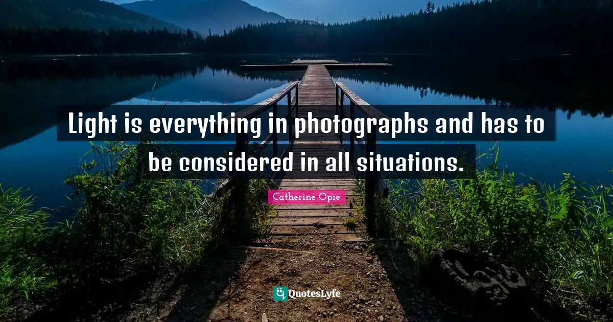 Catherine Opie Quotes: "Light is everything in photographs and has to be considered in all situations."