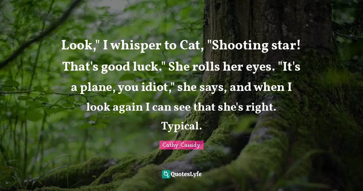 Look," I whisper to Cat, "Shooting star! That's good luck." She rolls her eyes. "It's a plane, you idiot," she says, and when I look again I can see that she's right. Typical.