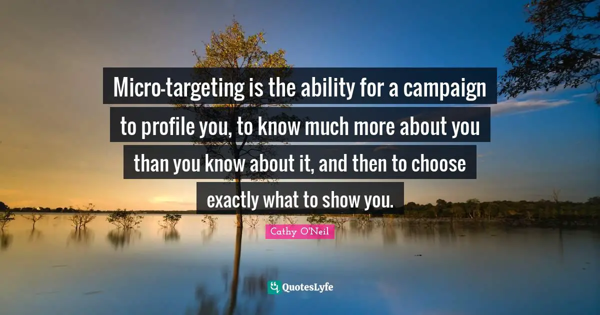 Cathy O'Neil Quotes: "Micro-targeting is the ability for a campaign to profile you, to know much more about you than you know about it, and then to choose exactly what to show you."