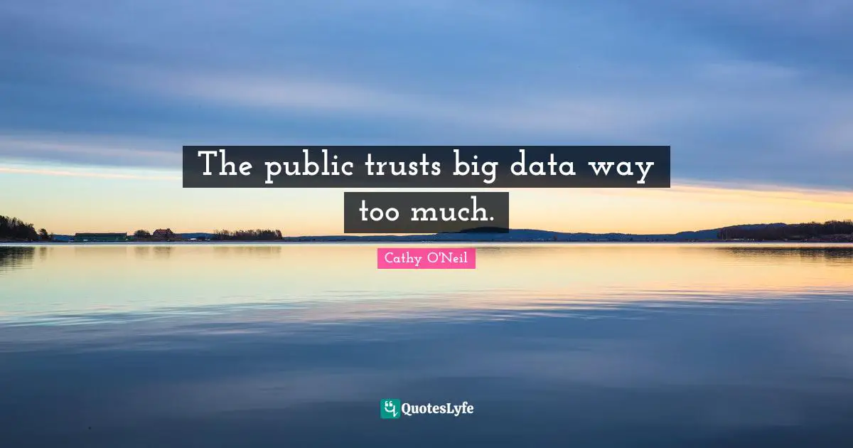 Cathy O'Neil Quotes: "The public trusts big data way too much."