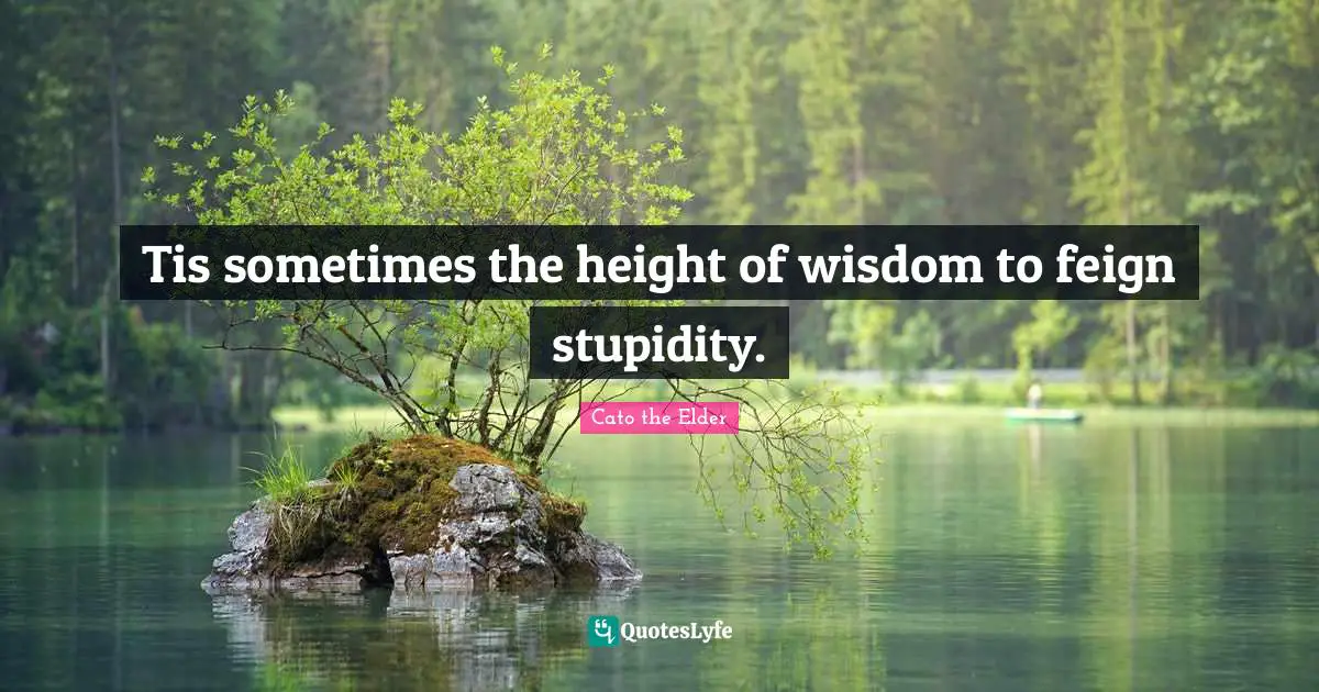Tis sometimes the height of wisdom to feign stupidity.