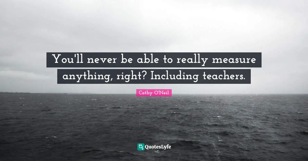 Cathy O'Neil Quotes: "You'll never be able to really measure anything, right? Including teachers."