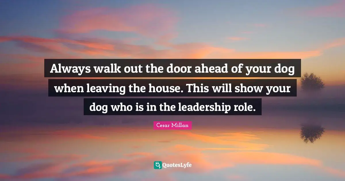 Cesar Millan Quotes: "Always walk out the door ahead of your dog when leaving the house. This will show your dog who is in the leadership role."