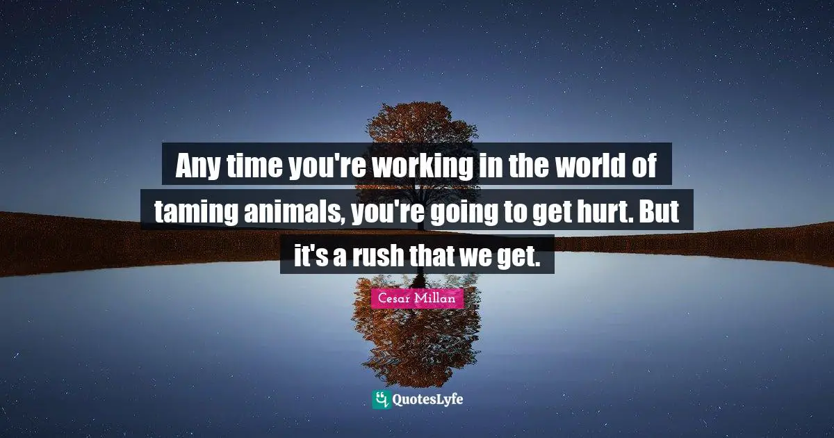 Any time you're working in the world of taming animals, you're going to get hurt. But it's a rush that we get.