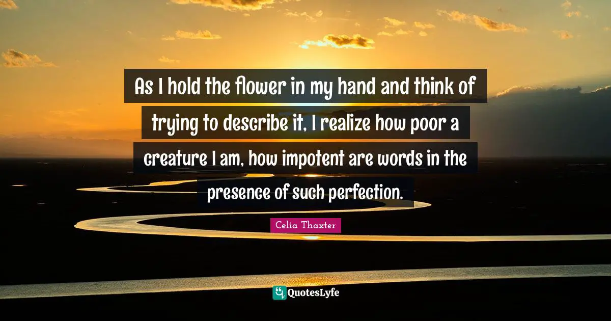 As I hold the flower in my hand and think of trying to describe it, I realize how poor a creature I am, how impotent are words in the presence of such perfection.