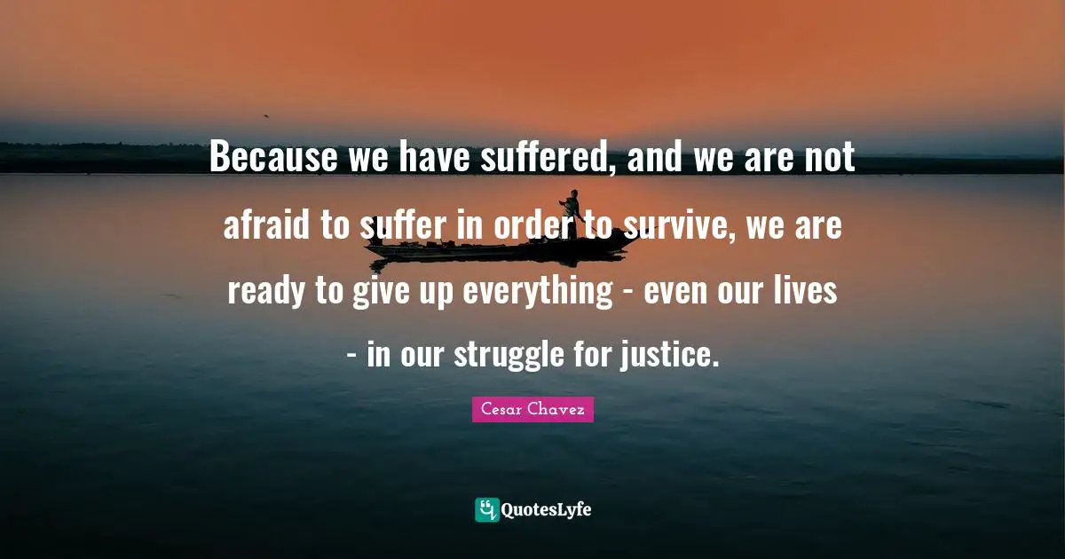 Ready To Give Up Quotes: "Because we have suffered, and we are not afraid to suffer in order to survive, we are ready to give up everything - even our lives - in our struggle for justice."