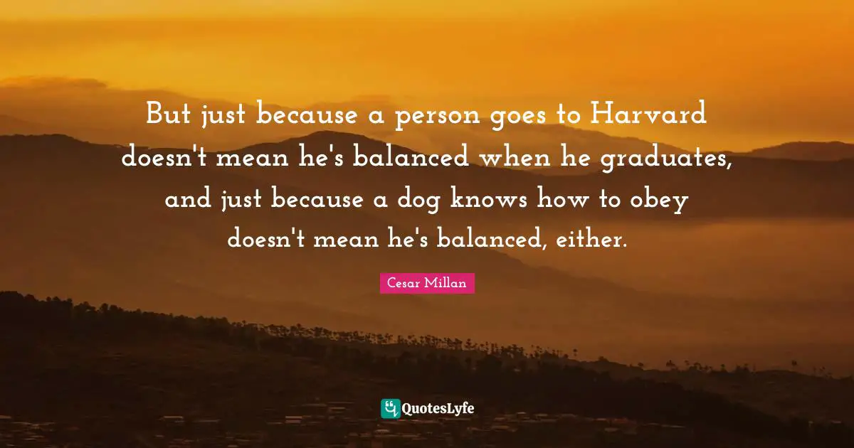 Cesar Millan Quotes: "But just because a person goes to Harvard doesn't mean he's balanced when he graduates, and just because a dog knows how to obey doesn't mean he's balanced, either."
